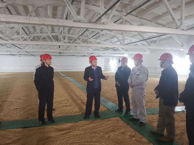 统筹储备安全与设施建设，赋能粮储企业高质量发展——侯锋平局长赴芜湖市调研政府储备粮管理和粮食仓储设施建设工作